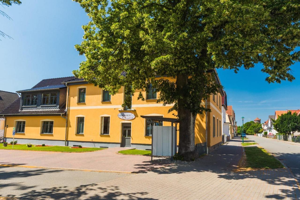 Gaestehaus Burgblick Neustadt-Glewe Buitenkant foto